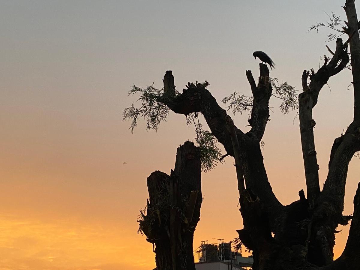 Hostel Birds Nest *