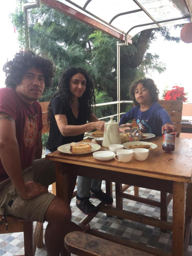 Birds Nest Hostel