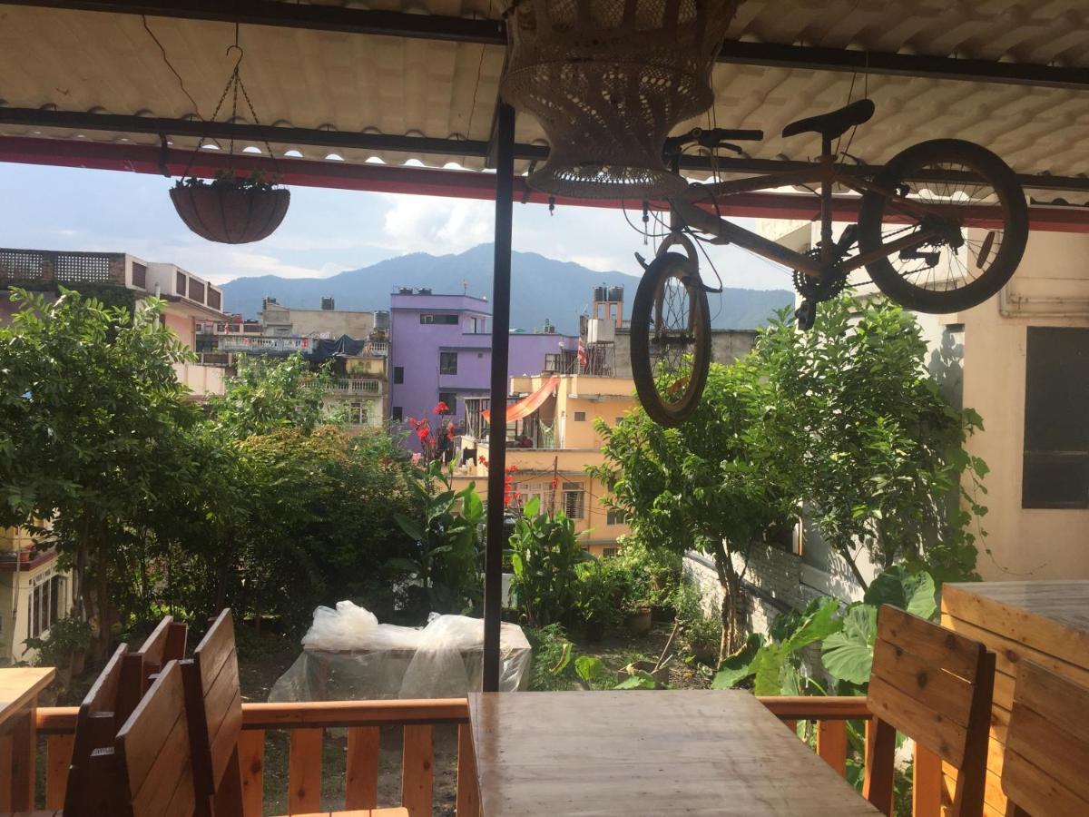 Birds Nest Hostel *